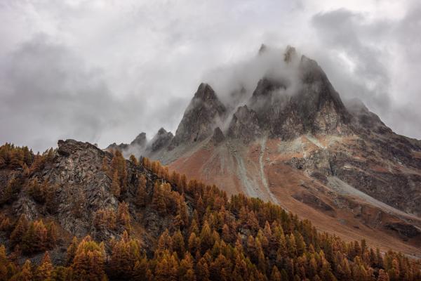 Mountain view (test)