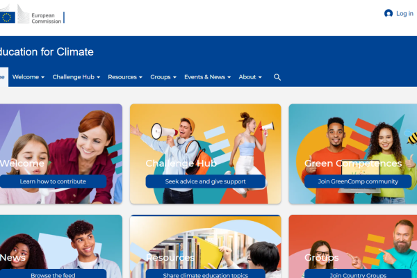 Website 